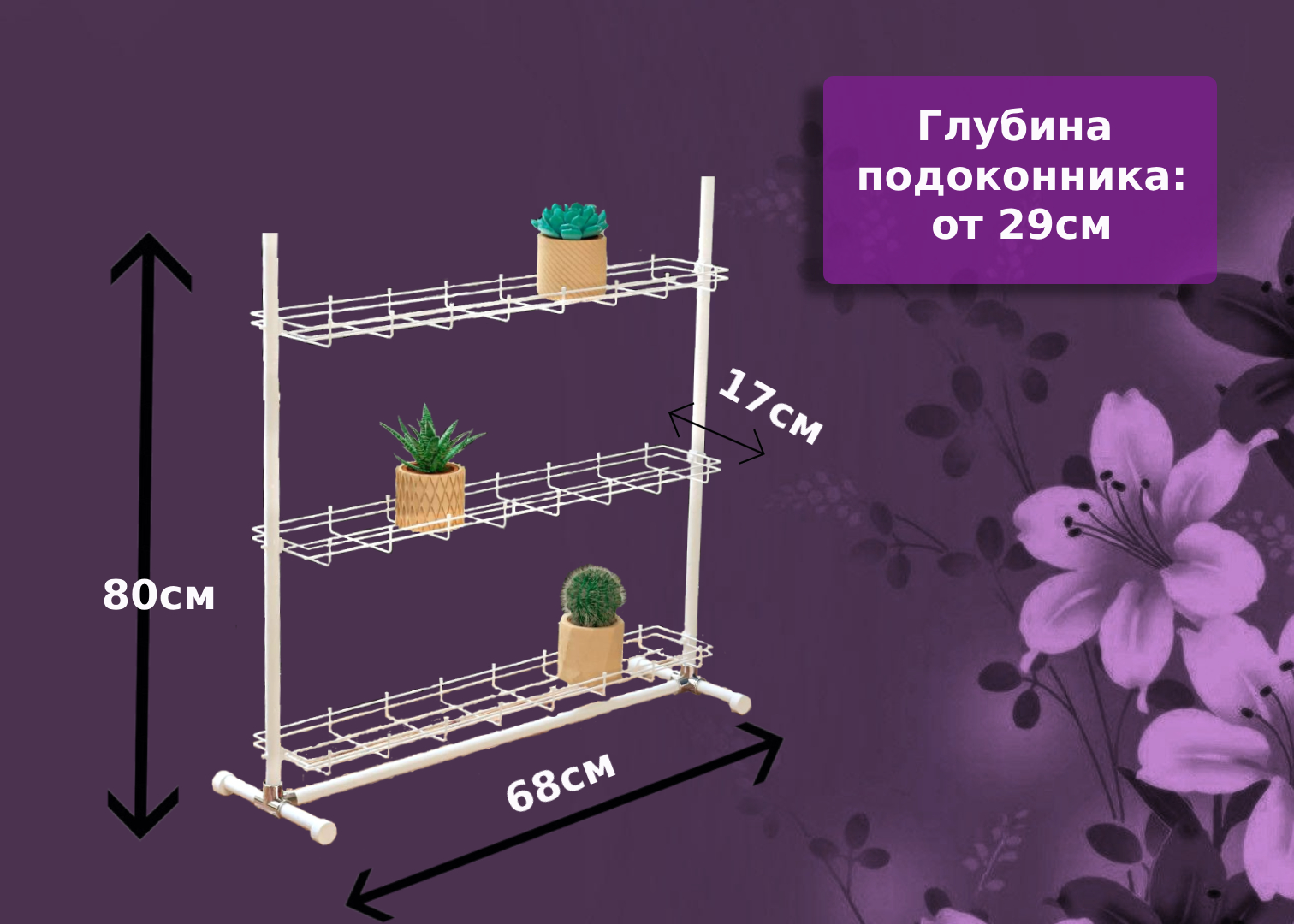 Кедр-мини на ножках . Фото N13