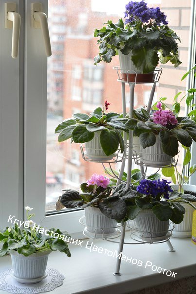 Подставка для цветов металлическая на подоконник